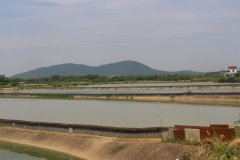 樟树市南美白对虾淡水养殖示范基地