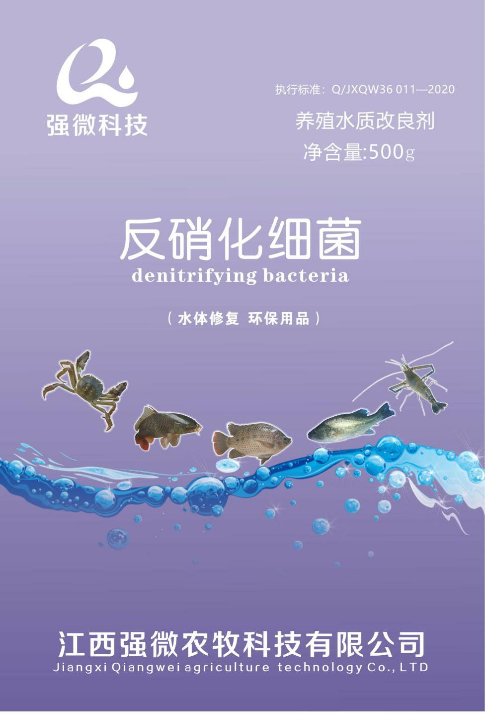 反硝化细菌